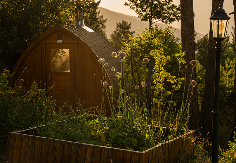 Wooden sauna cabin at Minds and Mountains ecolodge with garden plants at sunset